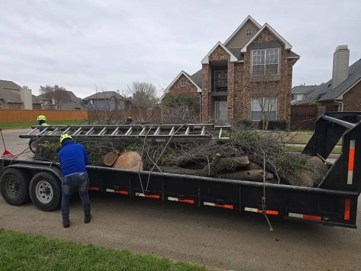 Expert Tree Pest Control with proper safety equipment in Powhattan